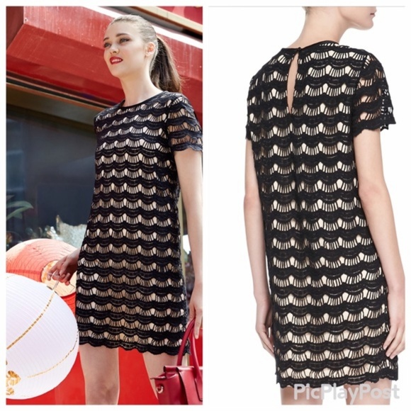 kate spade Dresses & Skirts - Kate Spade Virginia Lace Dress Sz 6